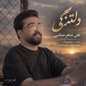 دانلود آهنگ علی شاهرحمانی دلتنگی